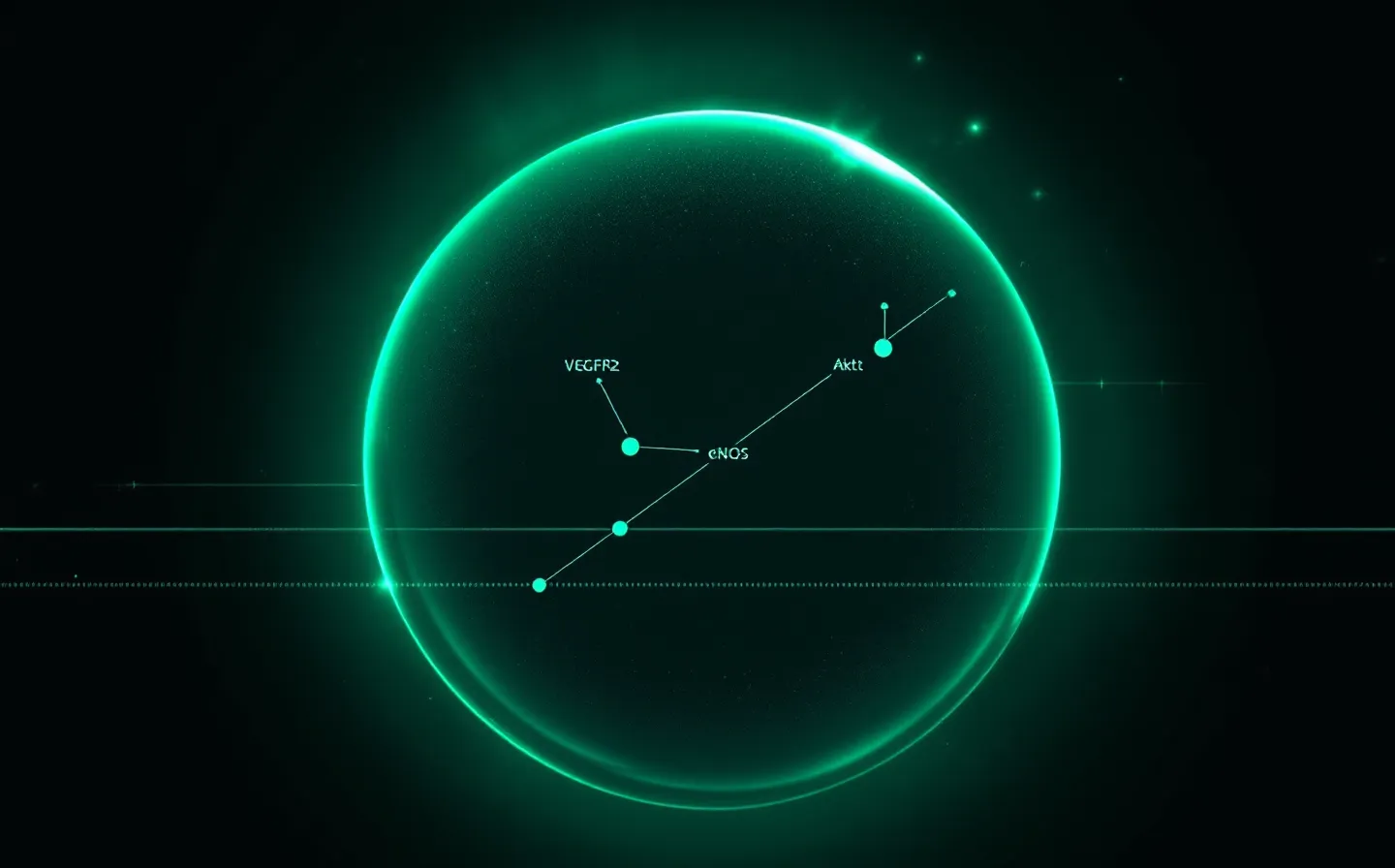 Vibrant emerald-green dark-console schematic of a VEGFR2 receptor internalizing and relaying through Akt to eNOS emitting nitric-oxide dots, on a frosted glass plane over an obsidian-green ground