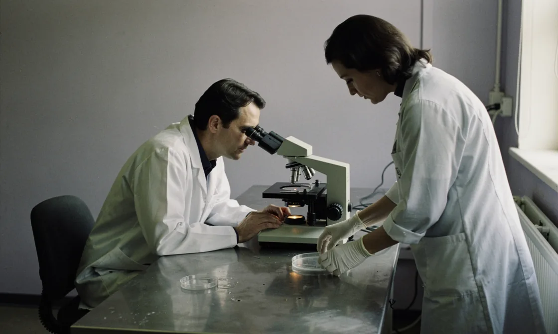 Two laboratory workers examining tissue cultures with an inverted microscope at a bright bench